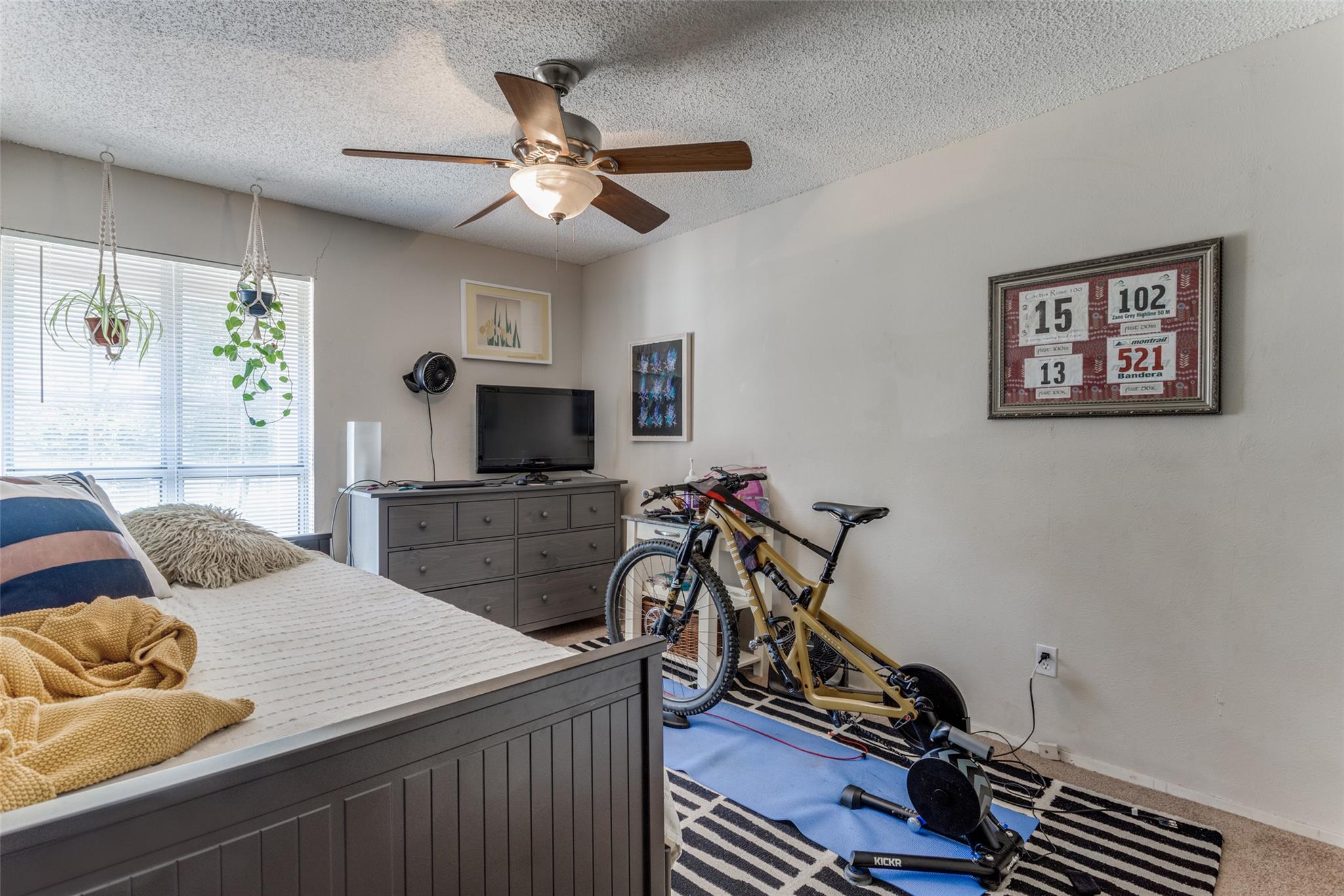2713 Tether Trail Austin TX 78704