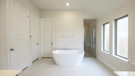103 Horsetail Cove Bastrop TX 78602