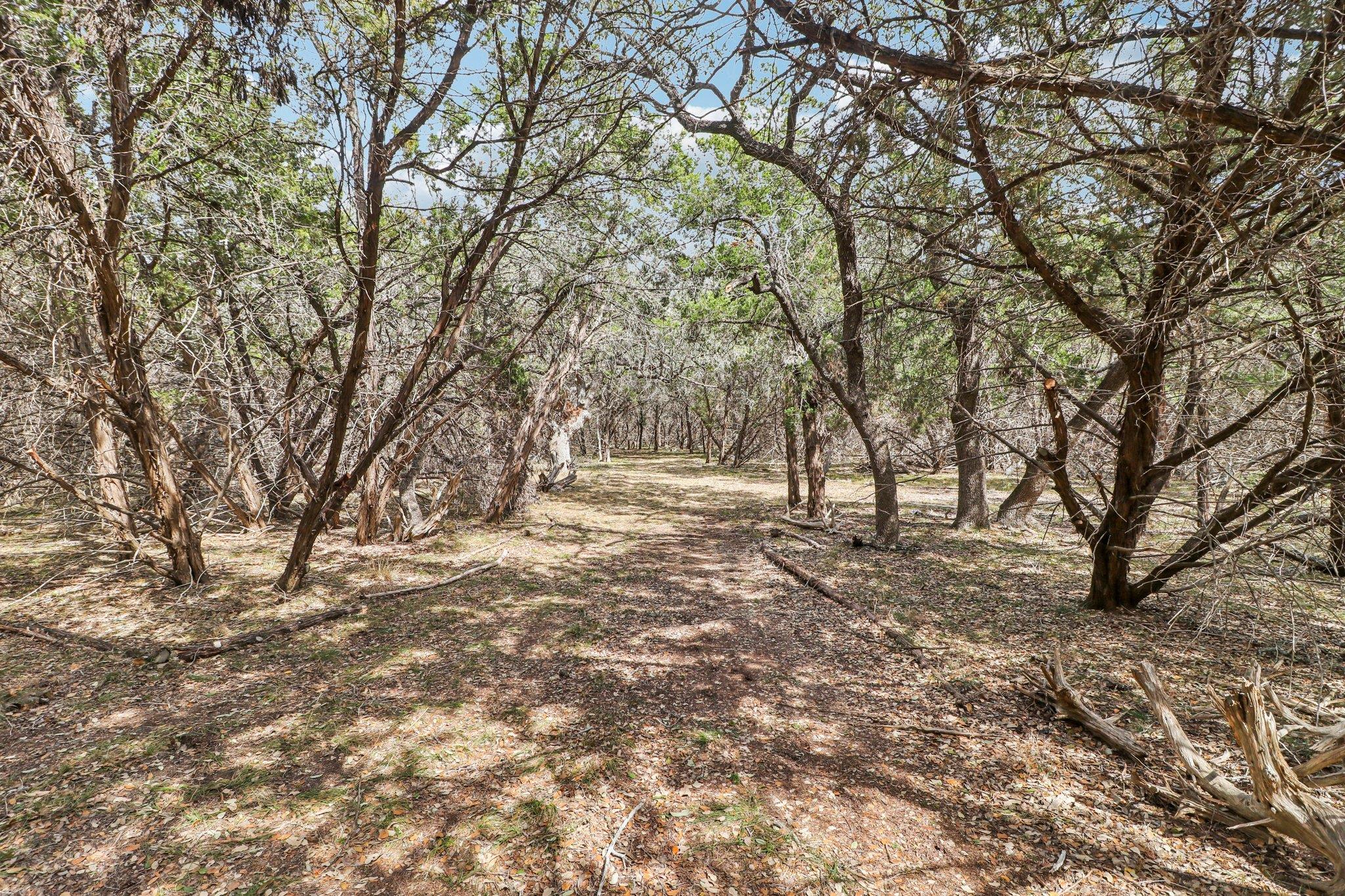 1500 Rebecca Creek Road Canyon Lake TX 78133
