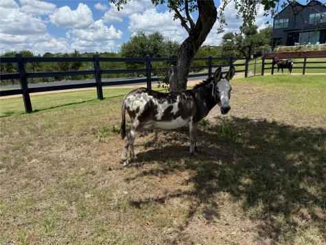 475 Happy Trail Dripping Springs TX 78620