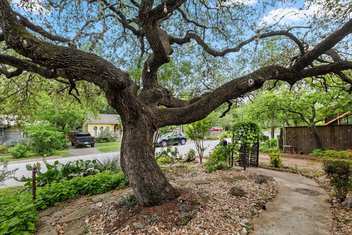 708 W Elizabeth Street Austin TX 78704