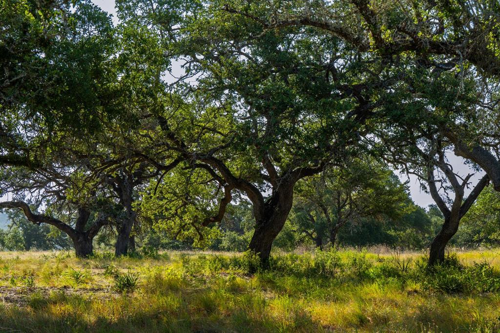Lot 101 Tuscany Drive Driftwood TX 78619