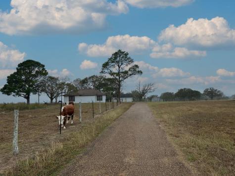 1696 E Fm 884 Yorktown TX 78164