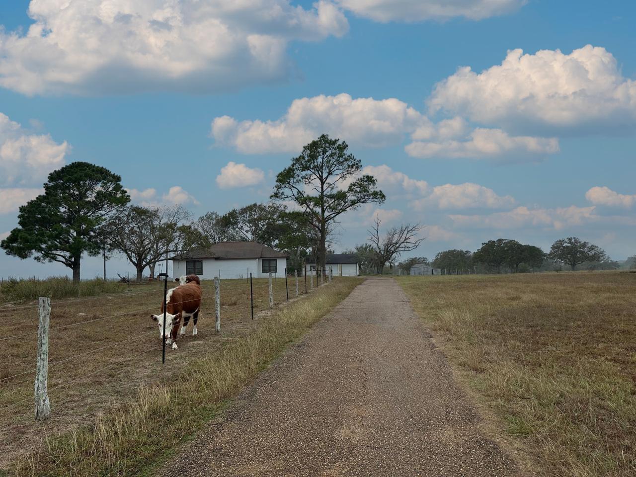 1696 E Fm 884 Yorktown TX 78164