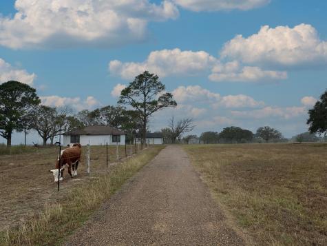 1696 E Fm 884 Yorktown TX 78164