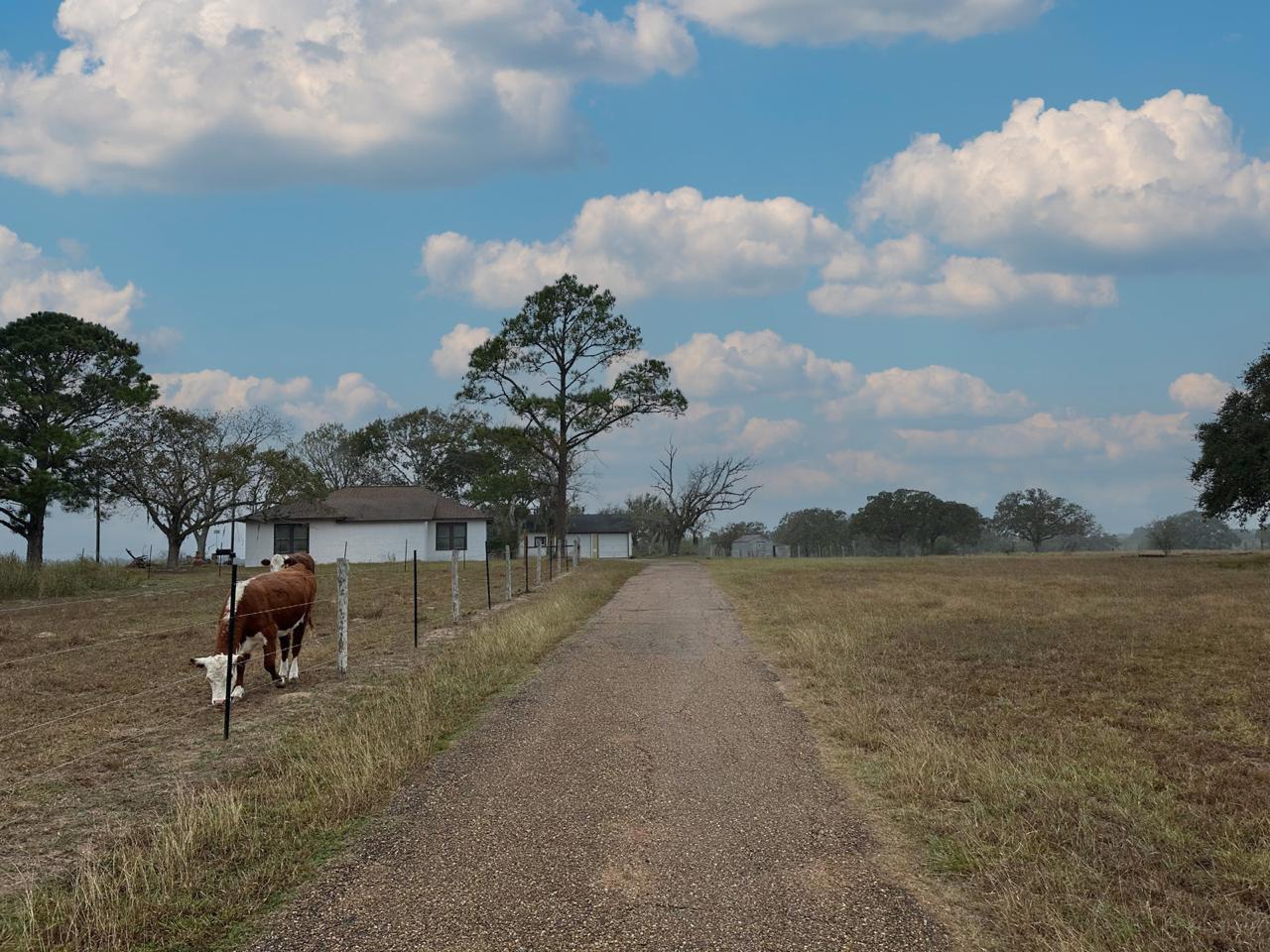 1696 E Fm 884 Yorktown TX 78164