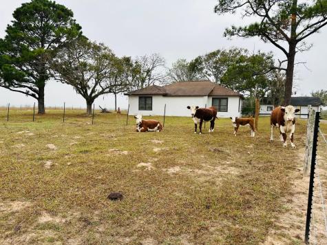 1696 E Fm 884 Yorktown TX 78164