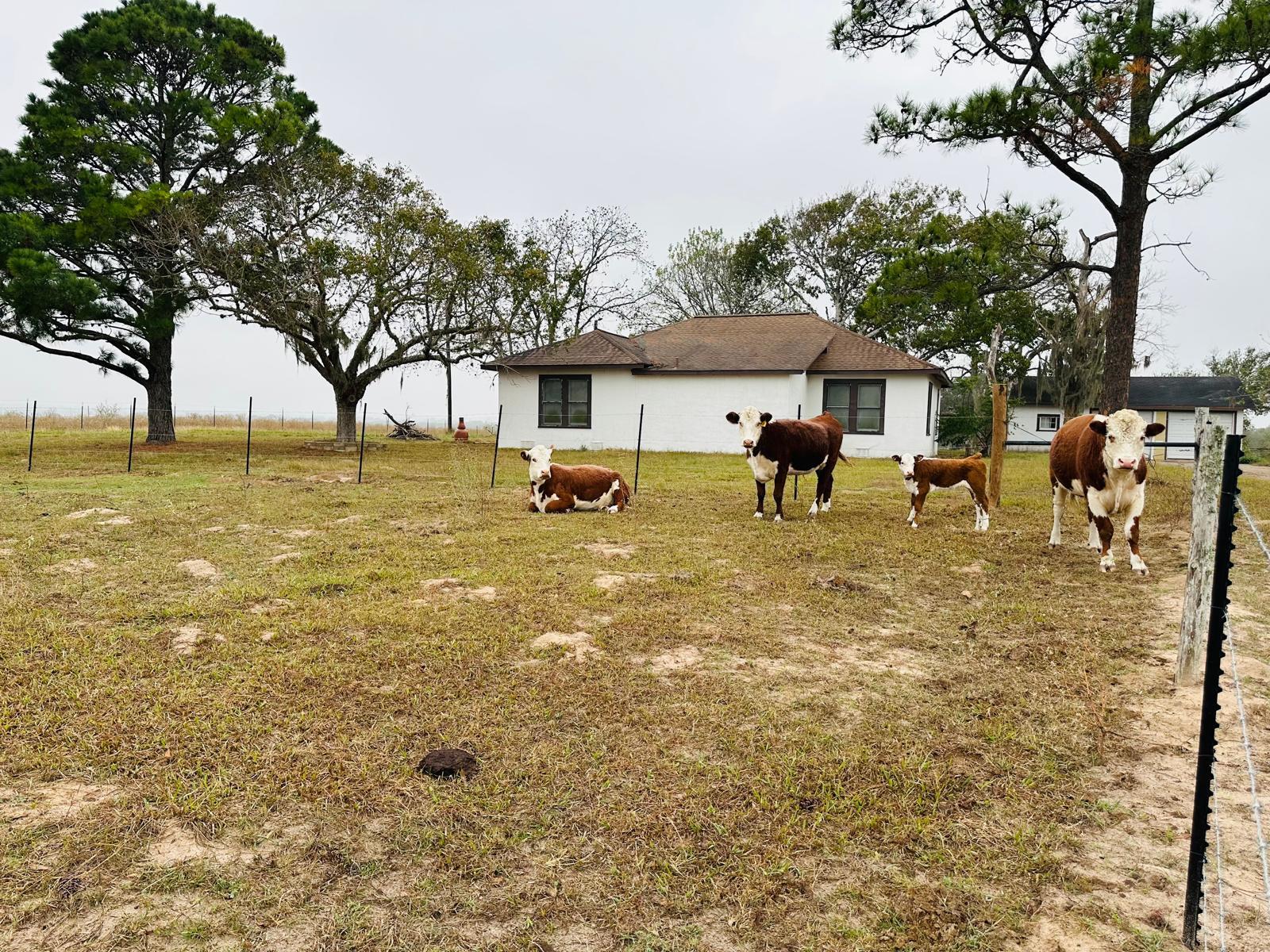 1696 E Fm 884 Yorktown TX 78164
