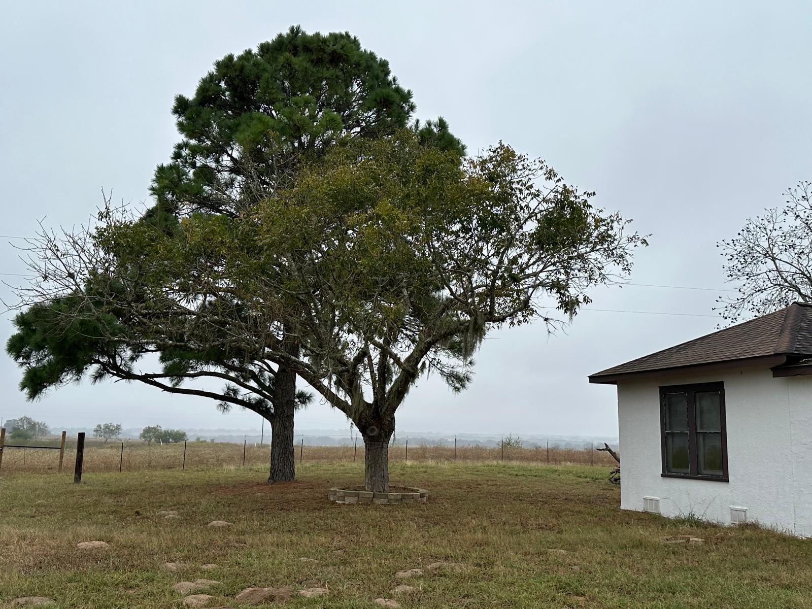 1696 E Fm 884 Yorktown TX 78164