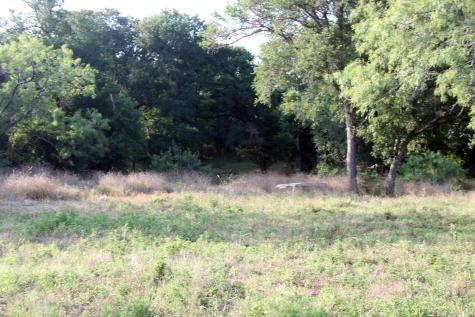 108 Sorrel Street Red Rock TX 78662