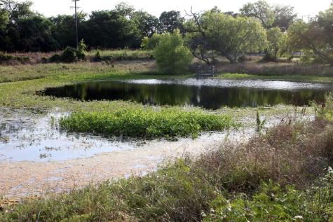 108 Sorrel Street Red Rock TX 78662