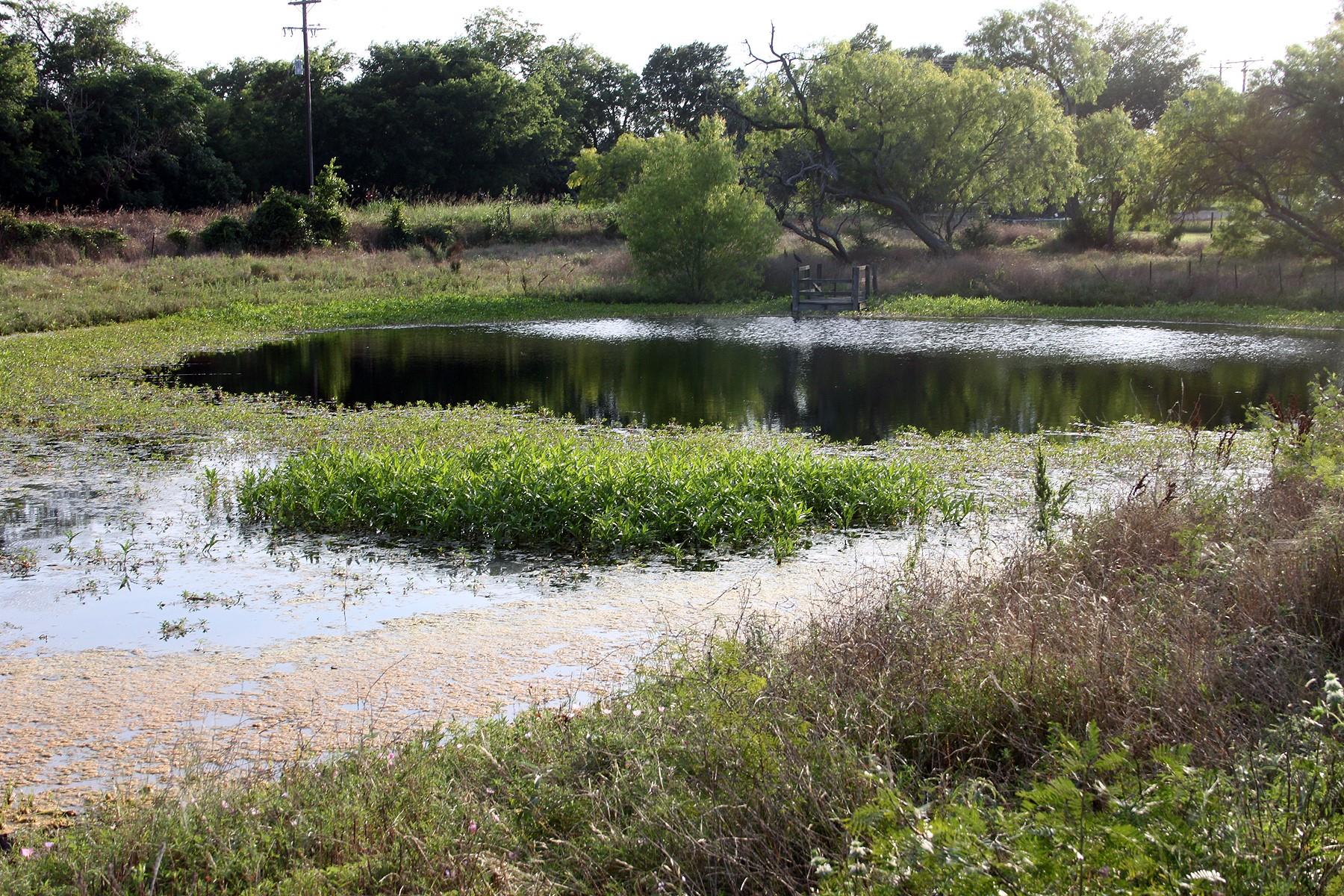 108 Sorrel Street Red Rock TX 78662