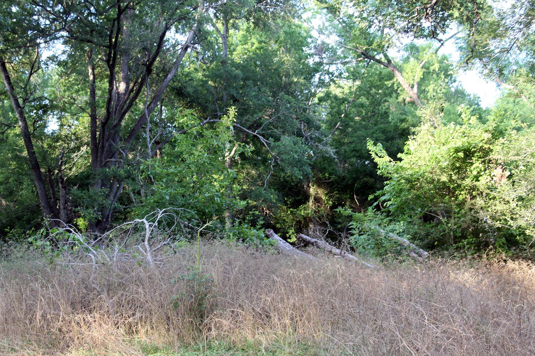 108 Sorrel Street Red Rock TX 78662