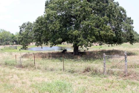 108 Sorrel Street Red Rock TX 78662