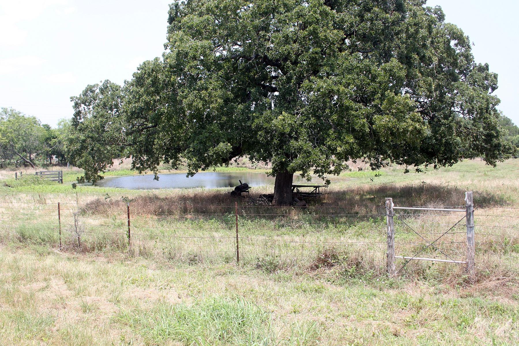 108 Sorrel Street Red Rock TX 78662