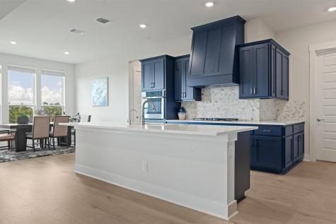 2233 Bellisa Vista Drive Leander TX 78641