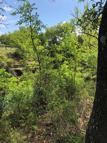 100 Dario Drive Dripping Springs TX 78620