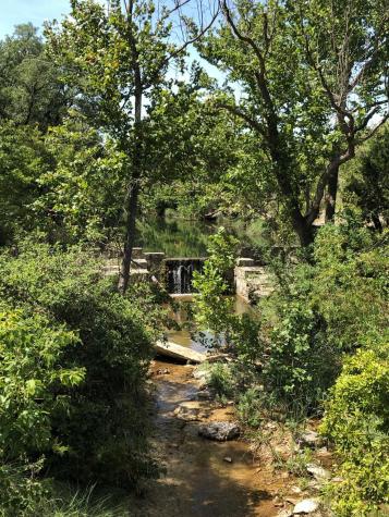 100 Dario Drive Dripping Springs TX 78620