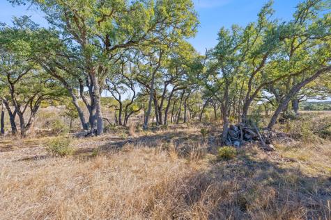 100 Dario Drive Dripping Springs TX 78620
