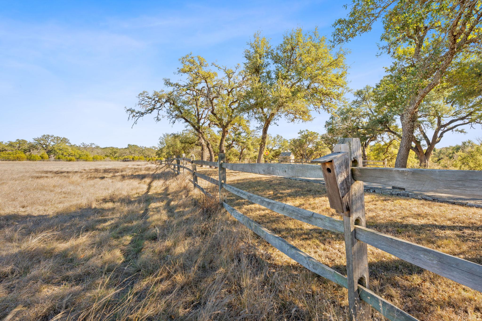 100 Dario Drive Dripping Springs TX 78620