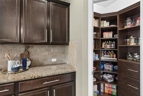 208 Paul Azinger Court Round Rock TX 78664