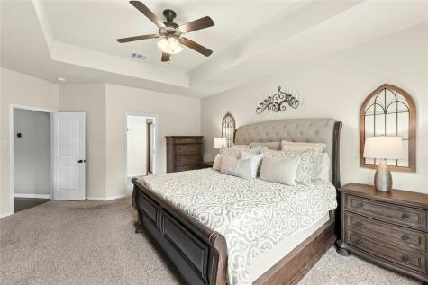 208 Paul Azinger Court Round Rock TX 78664