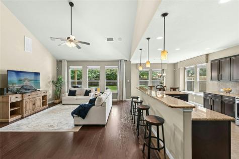 208 Paul Azinger Court Round Rock TX 78664