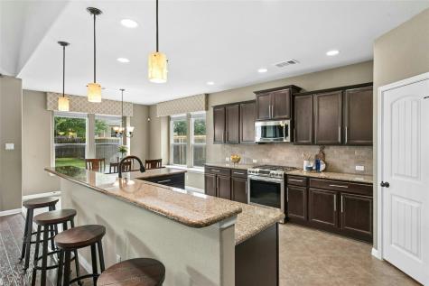 208 Paul Azinger Court Round Rock TX 78664