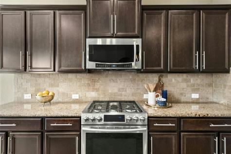 208 Paul Azinger Court Round Rock TX 78664