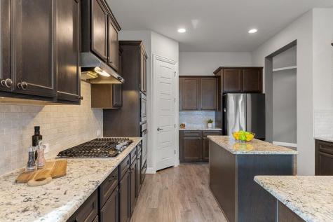 19500 Stanton Drew Trail Pflugerville TX 78660
