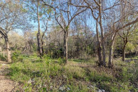 1002 Moser River Drive Leander TX 78641