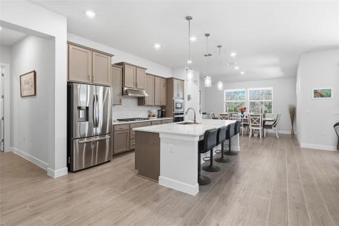 336 Calming Agave Way San Marcos TX 78666
