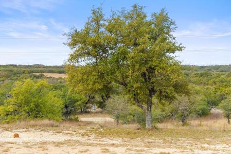 232 Crooked Oak Lane Round Mountain TX 78663