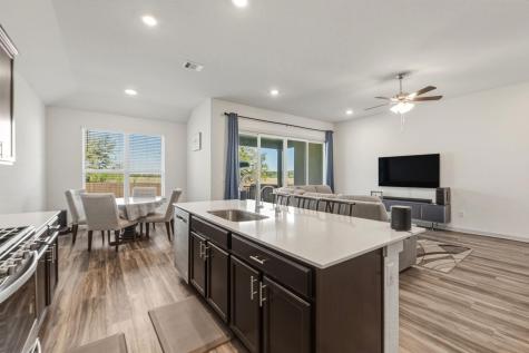 1640 Flying Horseshoe Bend Georgetown TX 78628