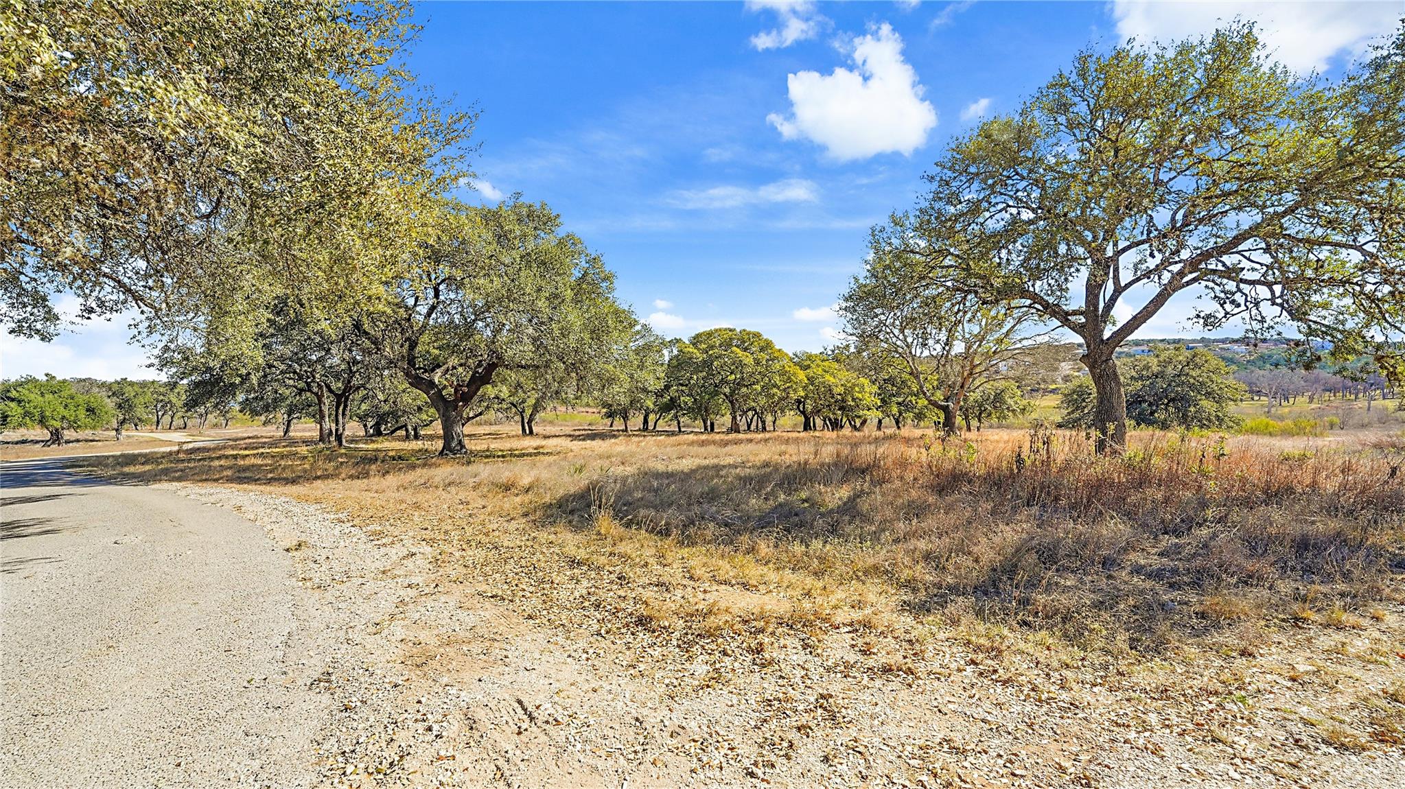 132 W Outer Drive Canyon Lake TX 78133