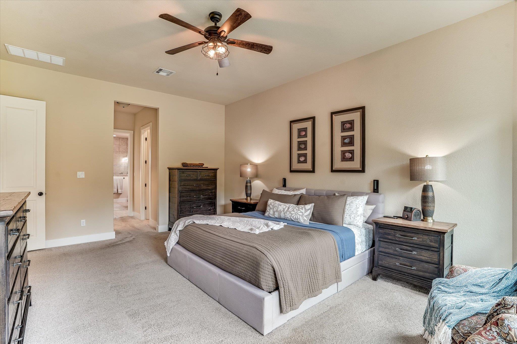 245 Bristlecone Drive Driftwood TX 78619