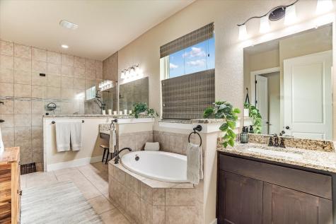 245 Bristlecone Drive Driftwood TX 78619