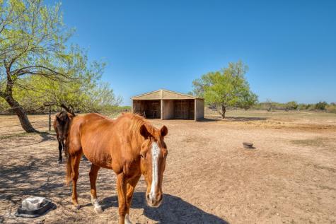 154 Three Oaks Lane Bastrop TX 78602