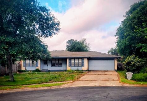 12102 Tanglebriar Cove Austin TX 78750