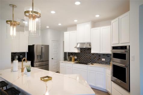 129 Vinca Minor Cove Georgetown TX 78626