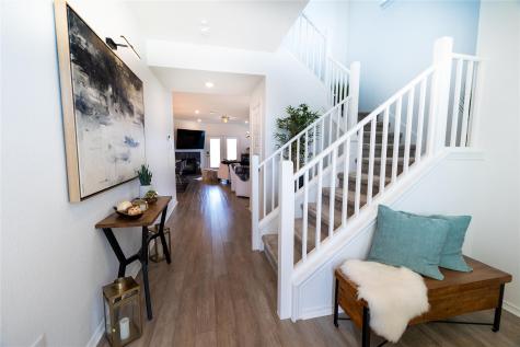 129 Vinca Minor Cove Georgetown TX 78626