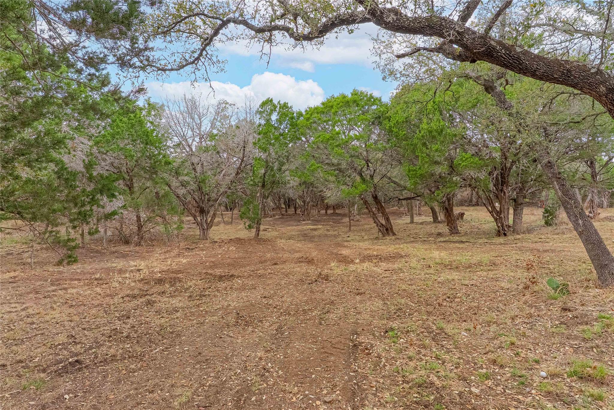 9220 County Road 272 Bertram TX 78605