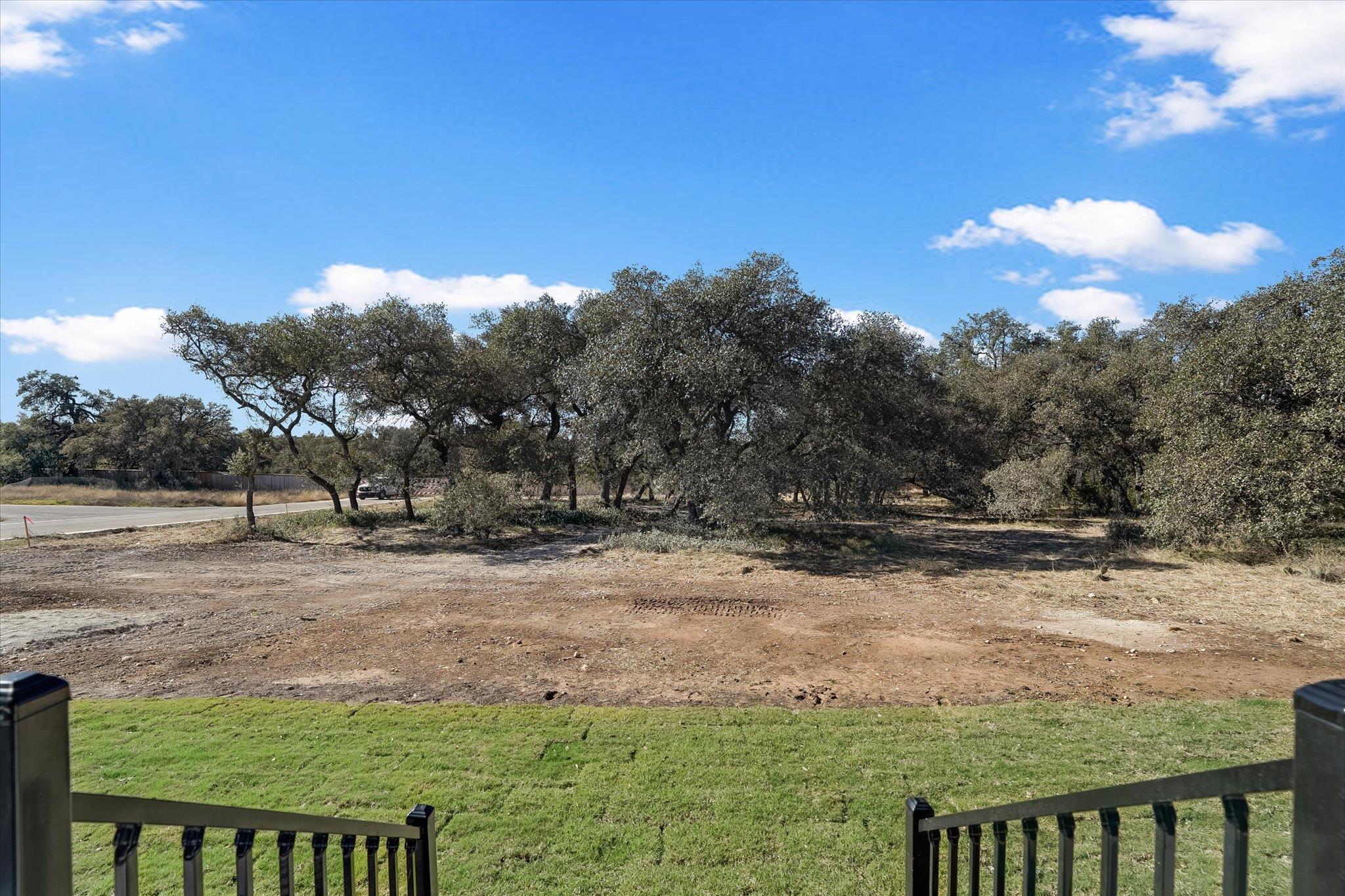 2813 Pale Branch Drive Leander TX 78641