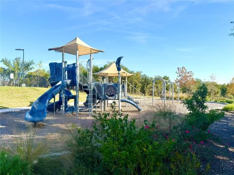 216 Moria Court Georgetown TX 78628