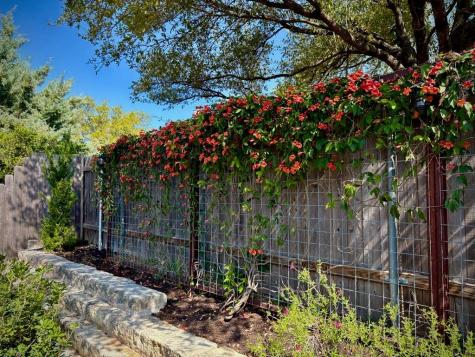 408 Kissing Oak Drive Austin TX 78748