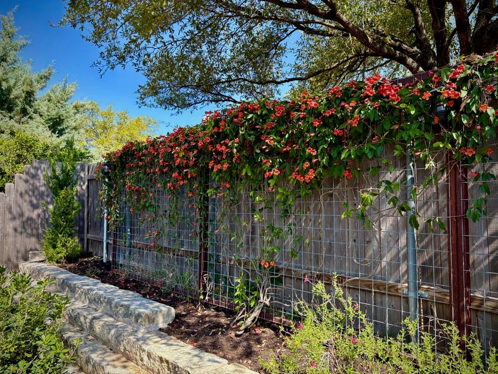 408 Kissing Oak Drive Austin TX 78748