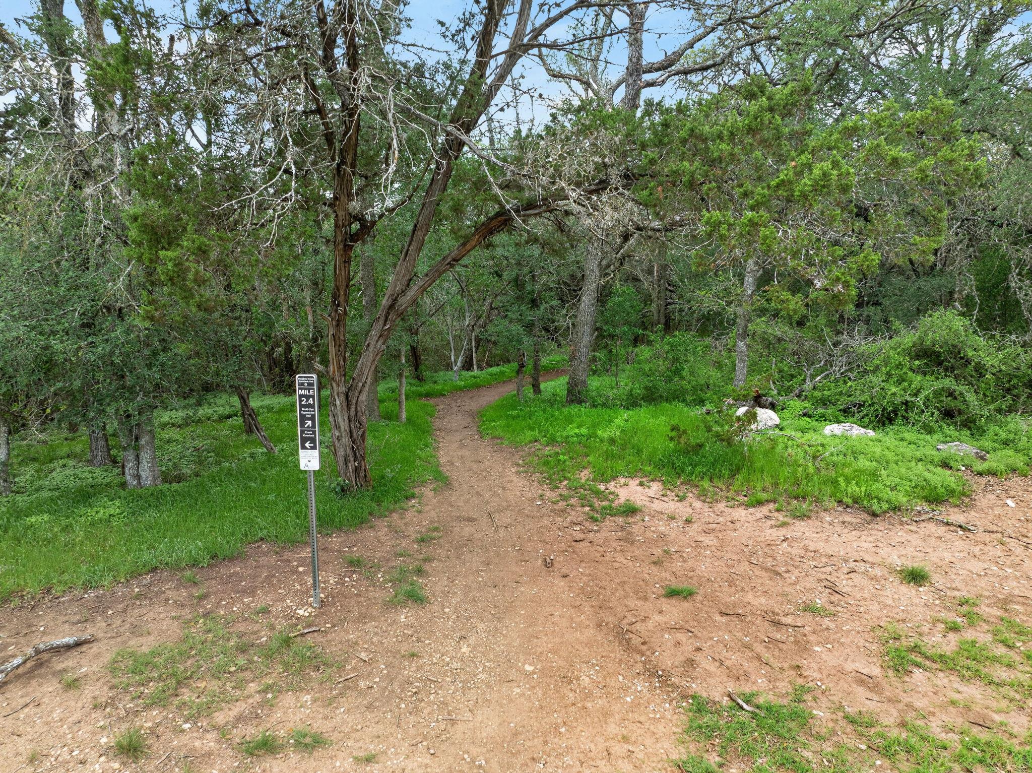408 Kissing Oak Drive Austin TX 78748