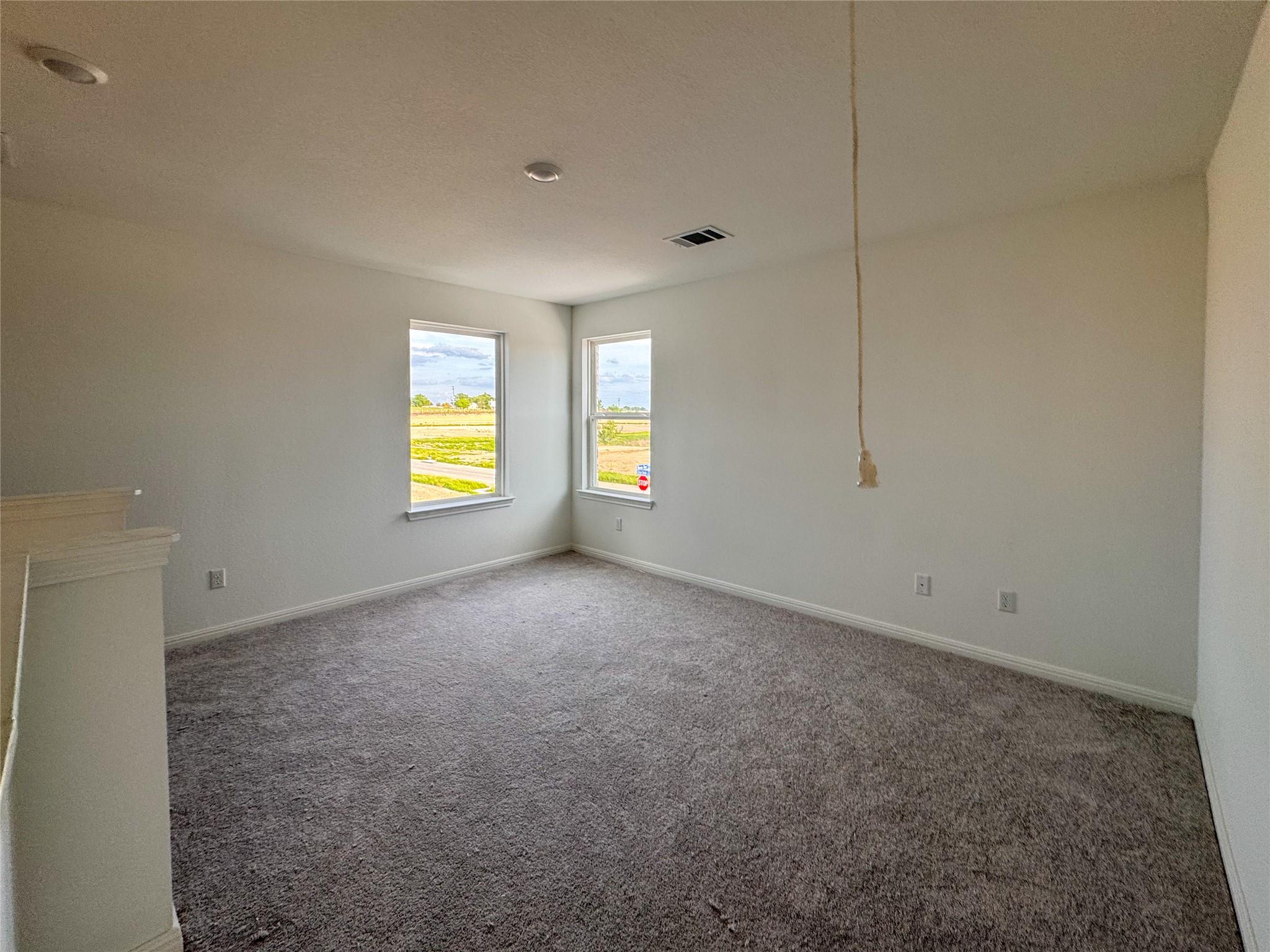 230 Bayou Mint Boulevard Buda TX 78610