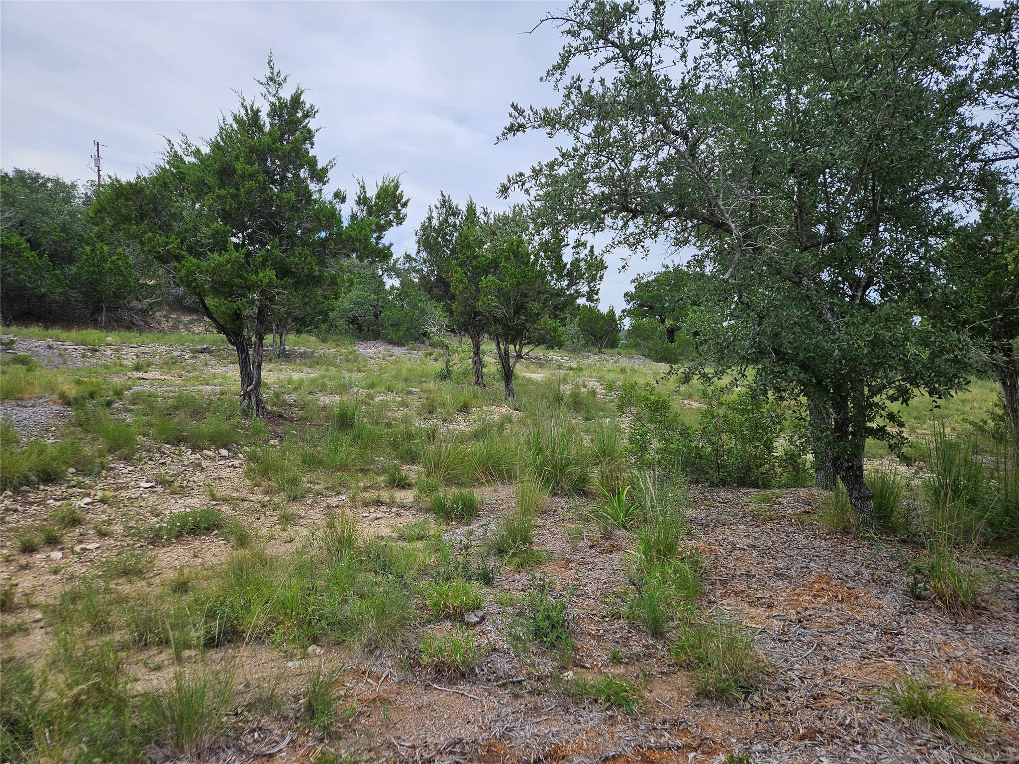 21201 Kathy Lane Spicewood TX 78669