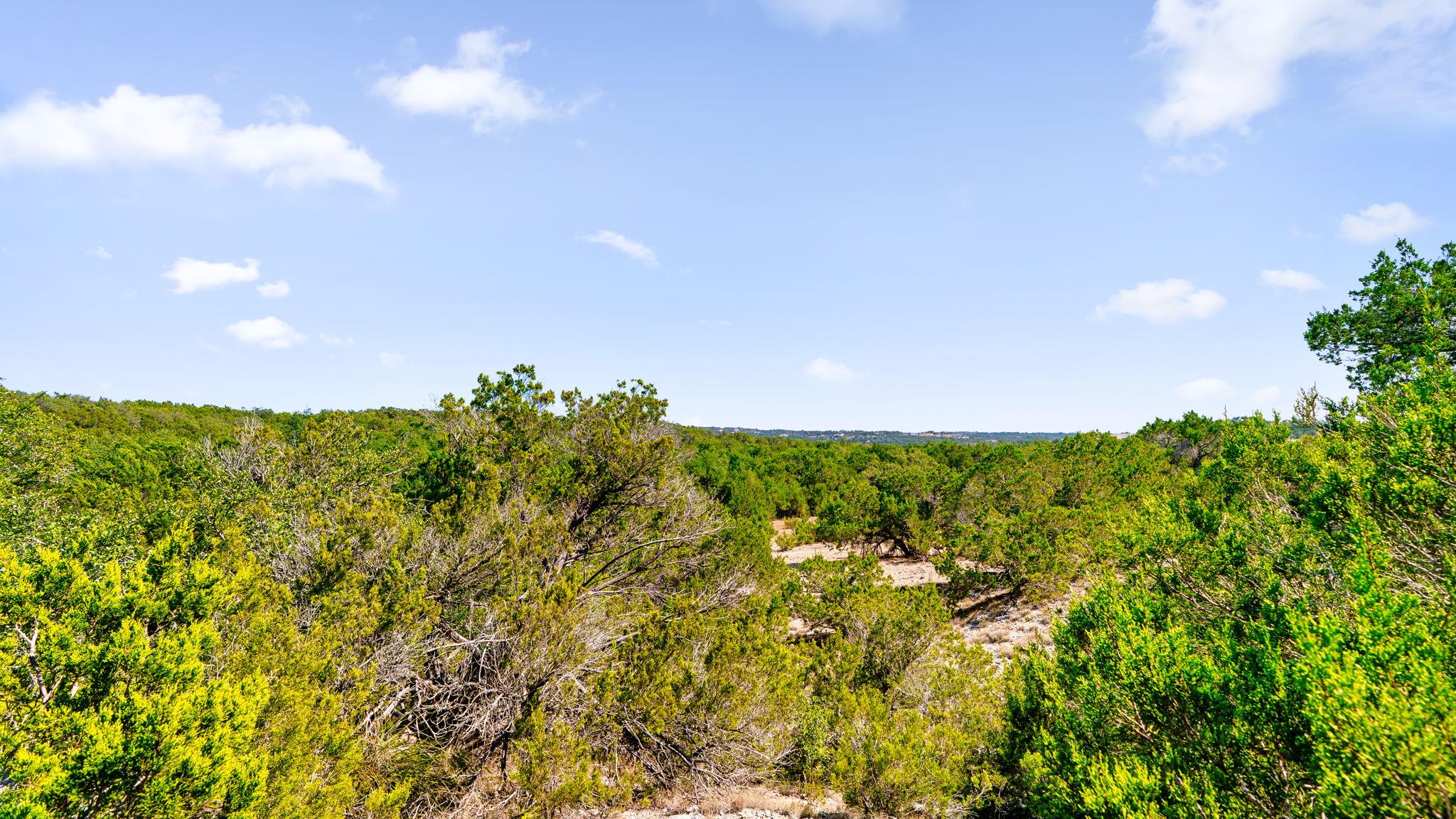 601 Hays Country Acres Road Dripping Springs TX 78620